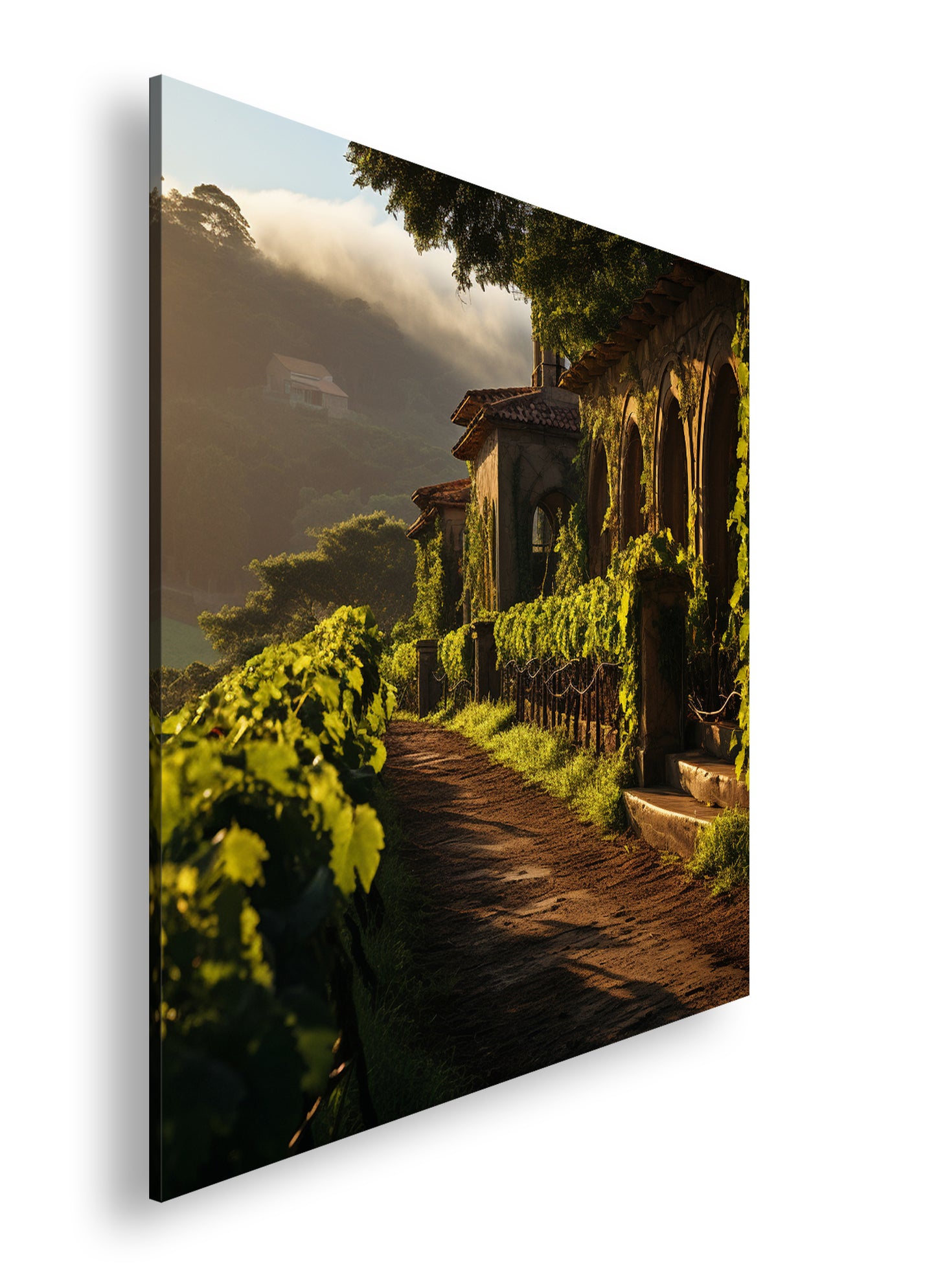 Hauptbild Farbig Quadratisch