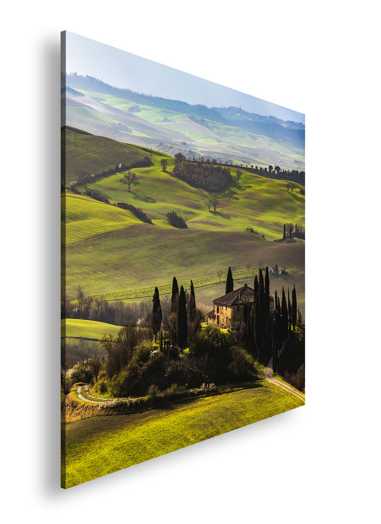 Hauptbild Farbig Quadratisch