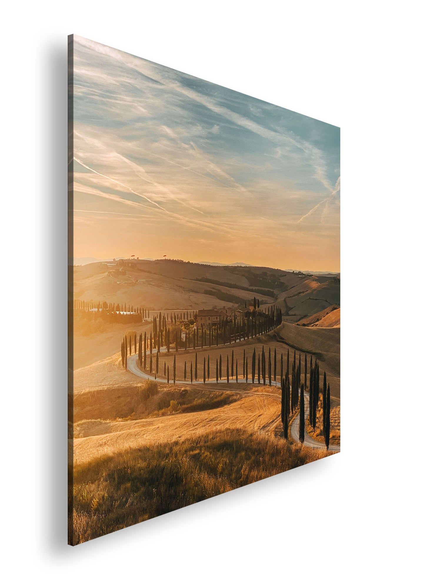 Hauptbild Farbig Quadratisch