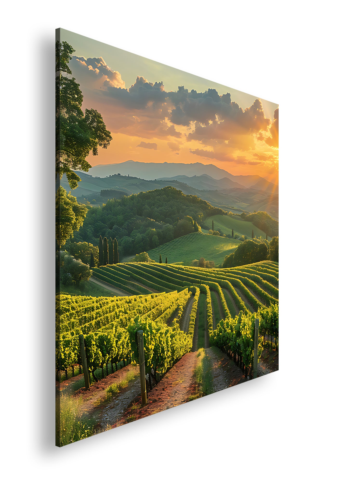 Hauptbild Farbig Quadratisch