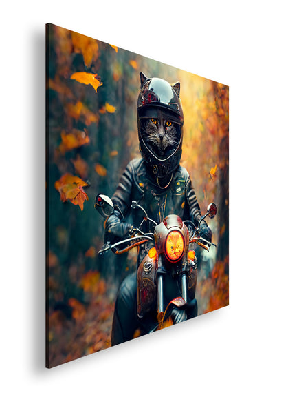 Hauptbild Farbig Quadratisch