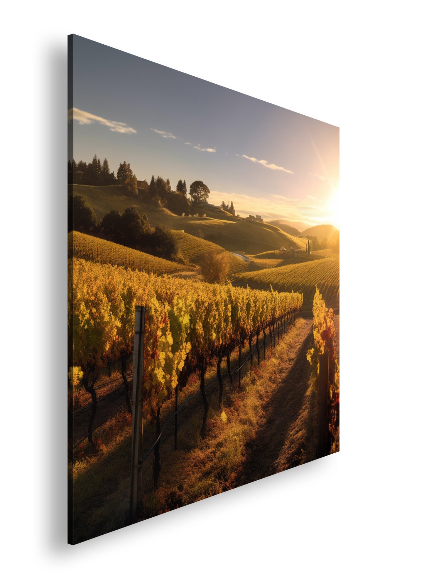 Hauptbild Farbig Quadratisch