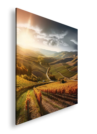 Hauptbild Farbig Quadratisch