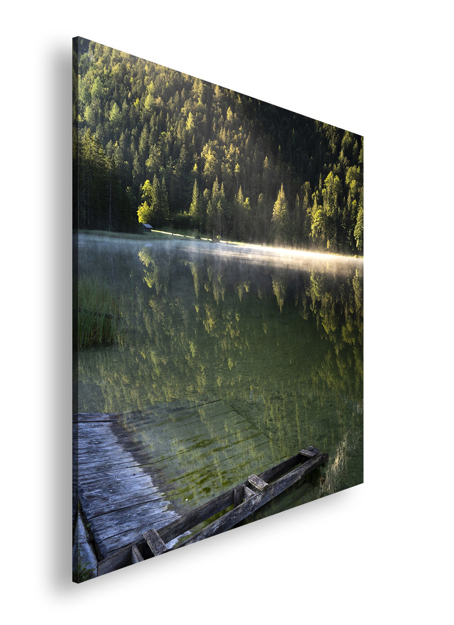 Hauptbild Farbig Quadratisch