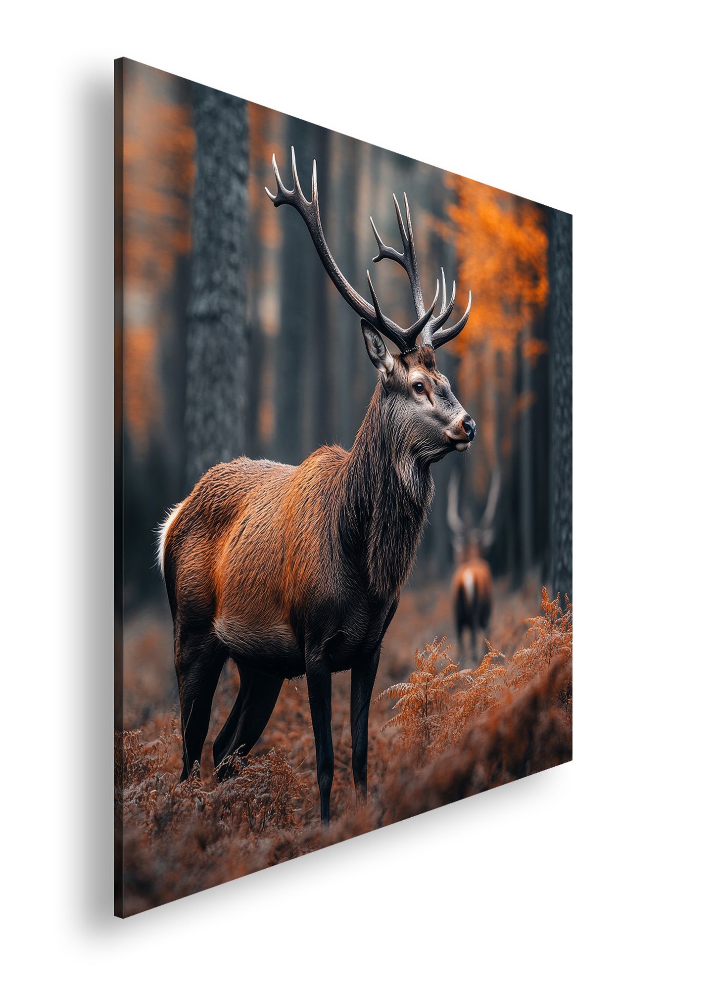 Hauptbild Farbig Quadratisch