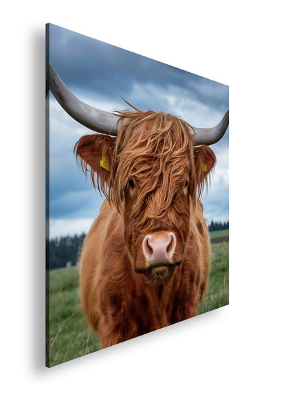 Hauptbild Farbig Quadratisch