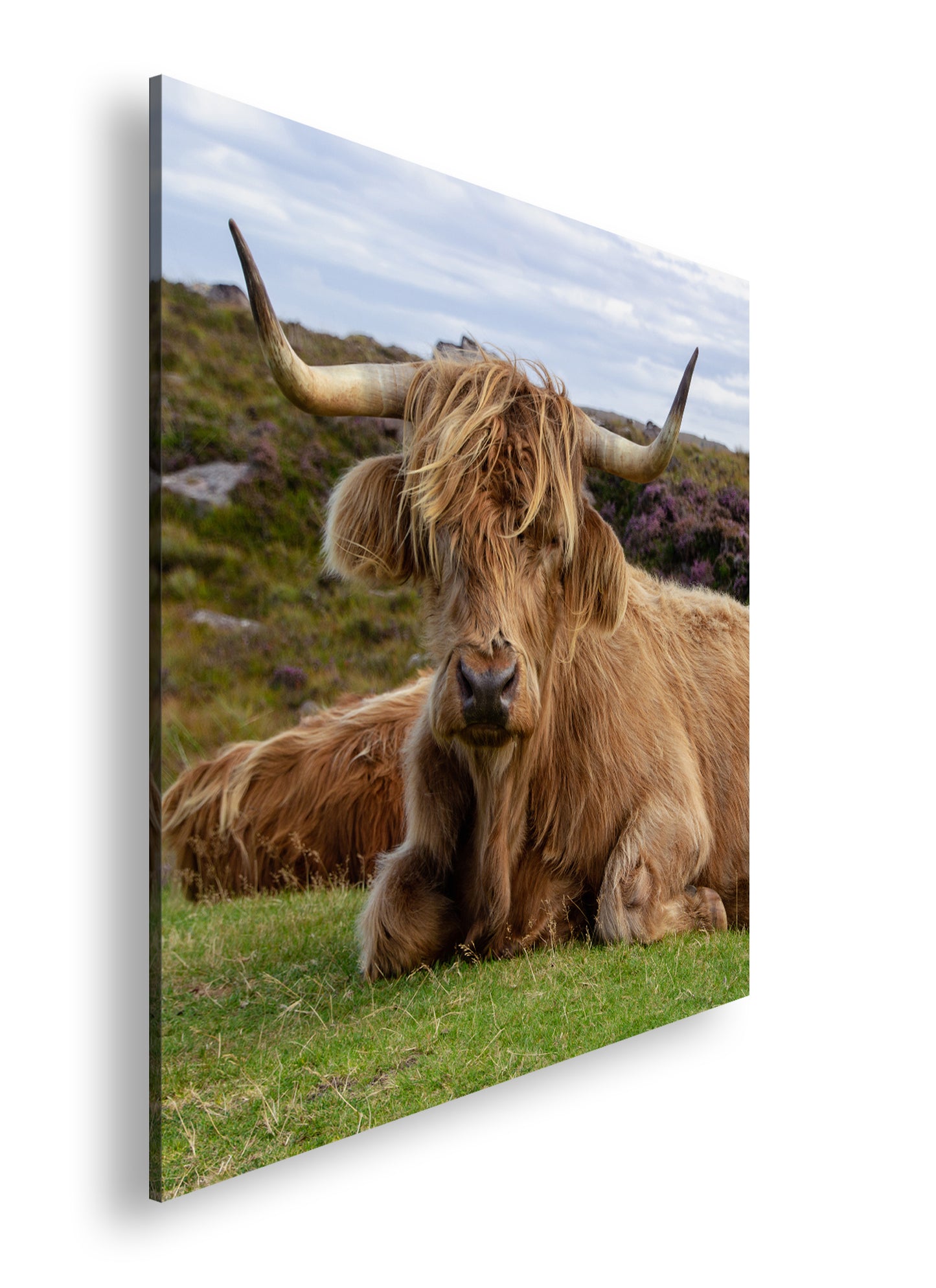 Hauptbild Farbig Quadratisch