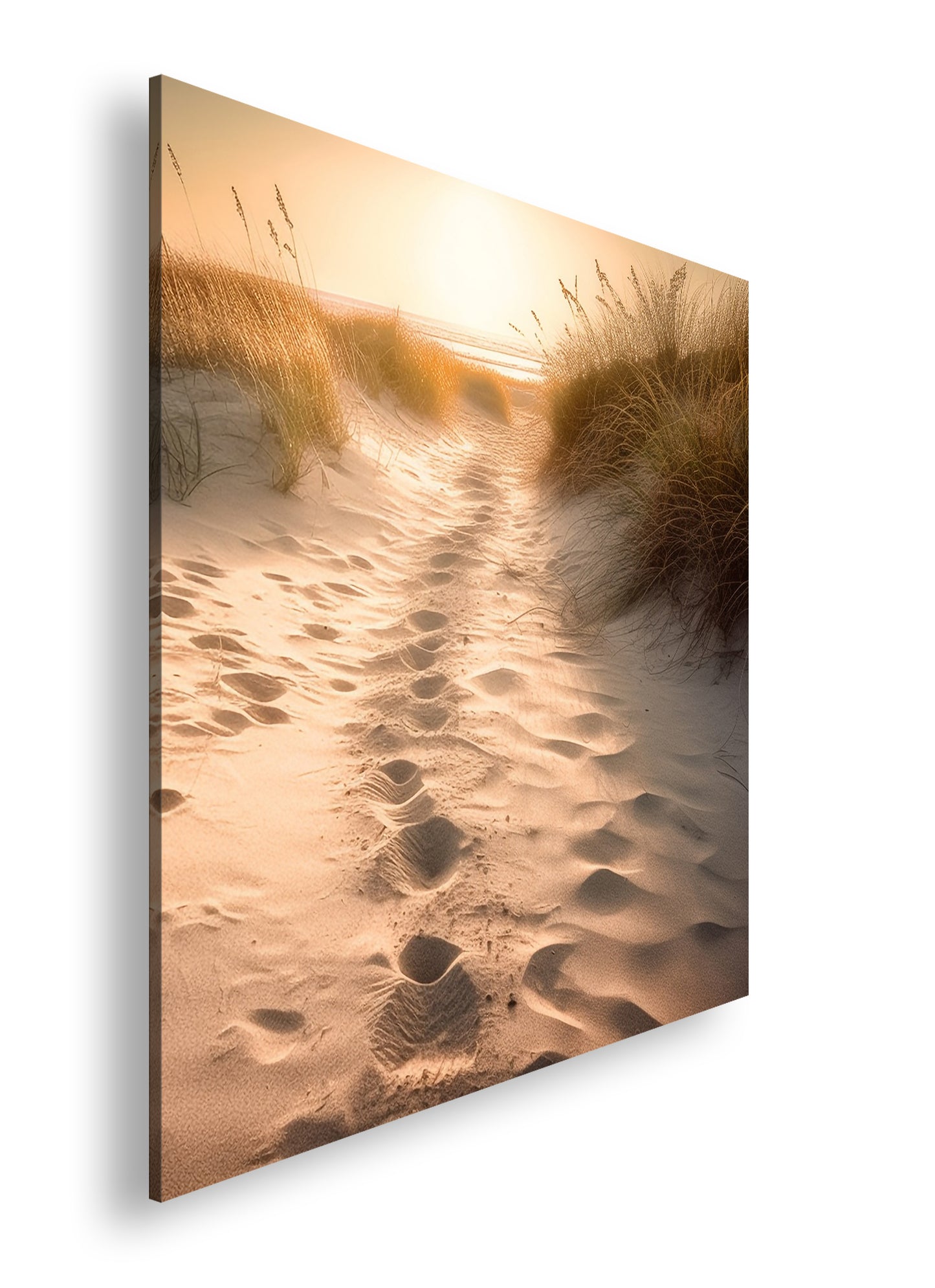 Hauptbild Farbig Quadratisch