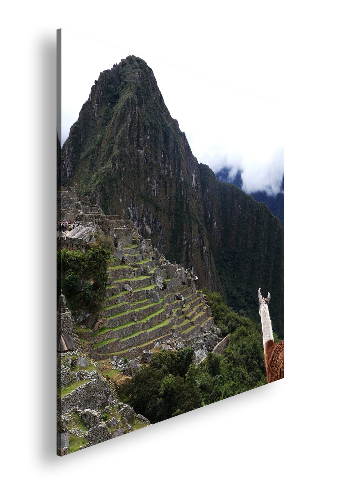 Hauptbild Farbig Quadratisch