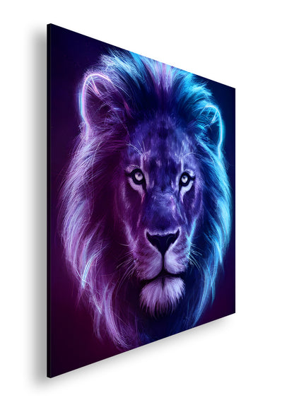 Hauptbild Farbig Quadratisch