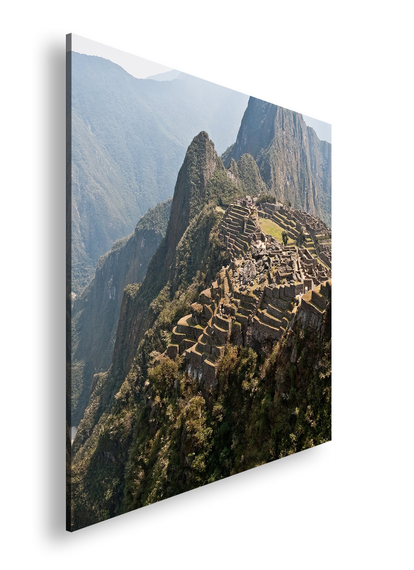 Hauptbild Farbig Quadratisch