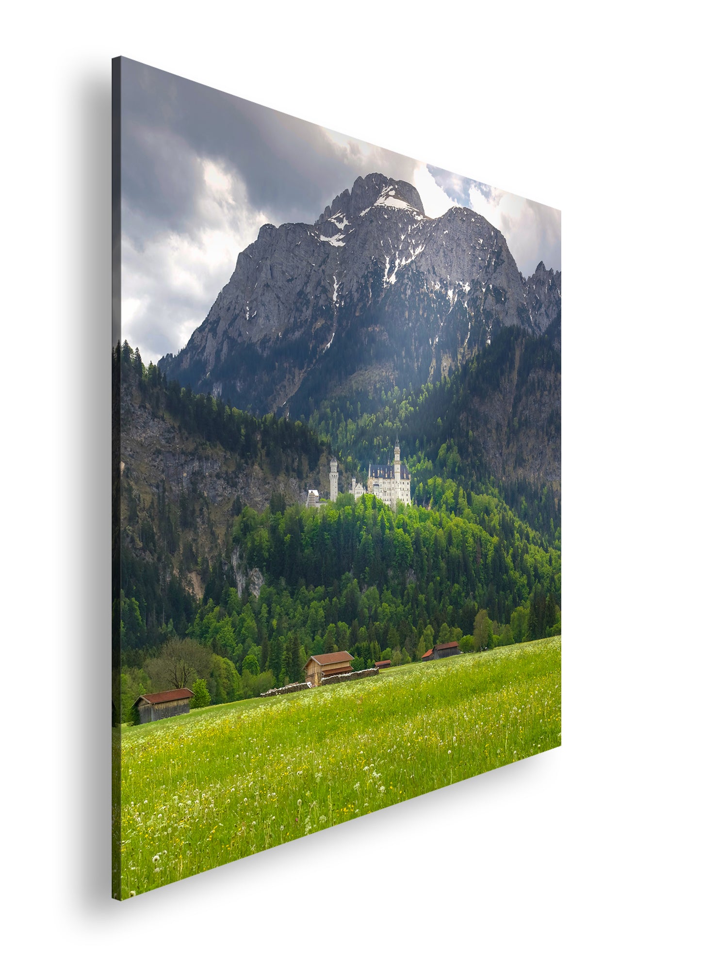 Hauptbild Farbig Quadratisch