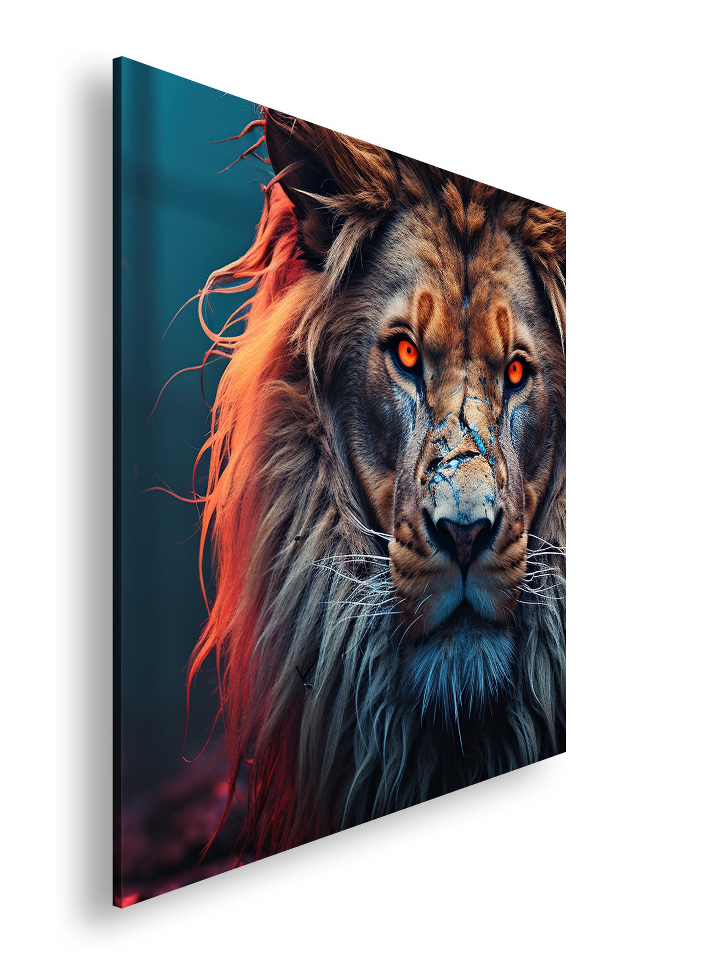 Hauptbild Farbig Quadratisch