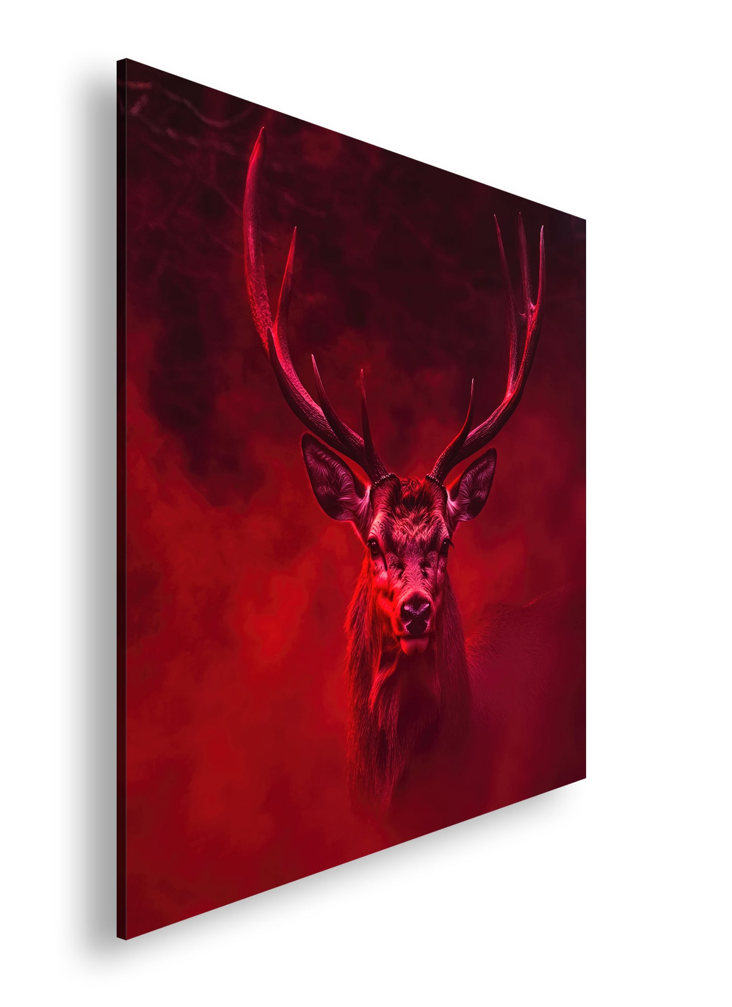 Hauptbild Farbig Quadratisch