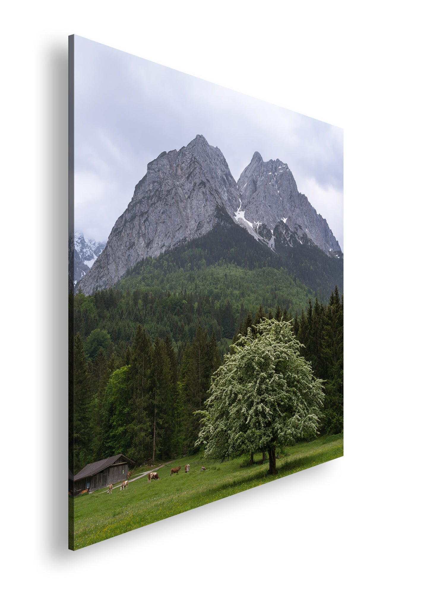 Hauptbild Farbig Quadratisch