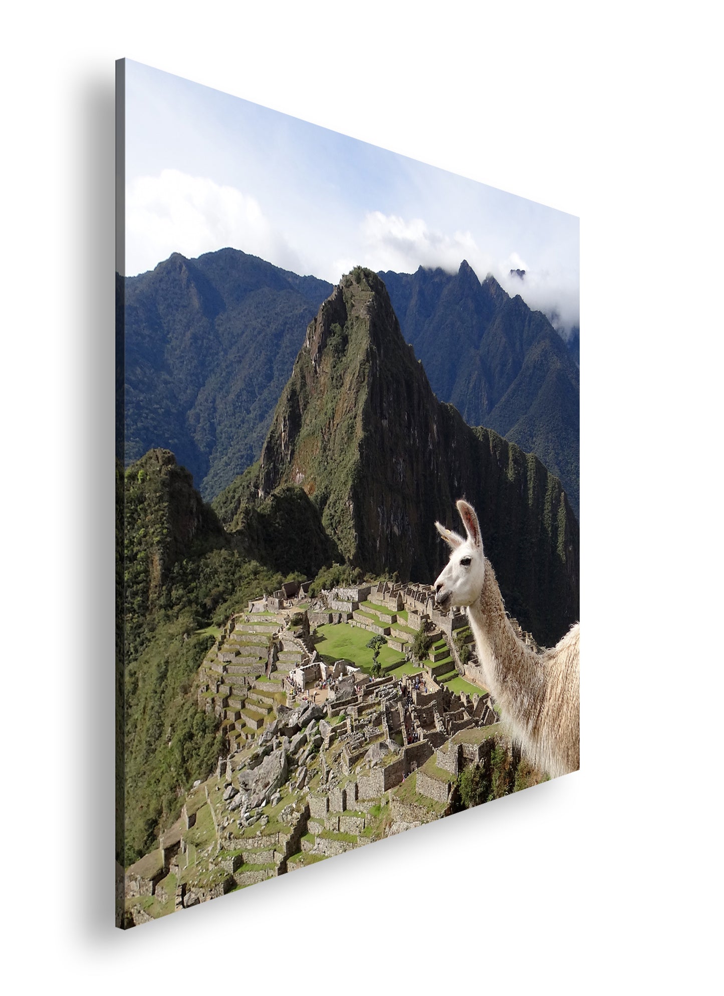 Hauptbild Farbig Quadratisch