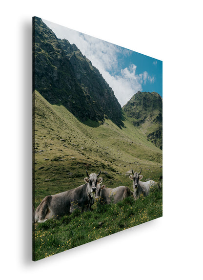 Hauptbild Farbig Quadratisch