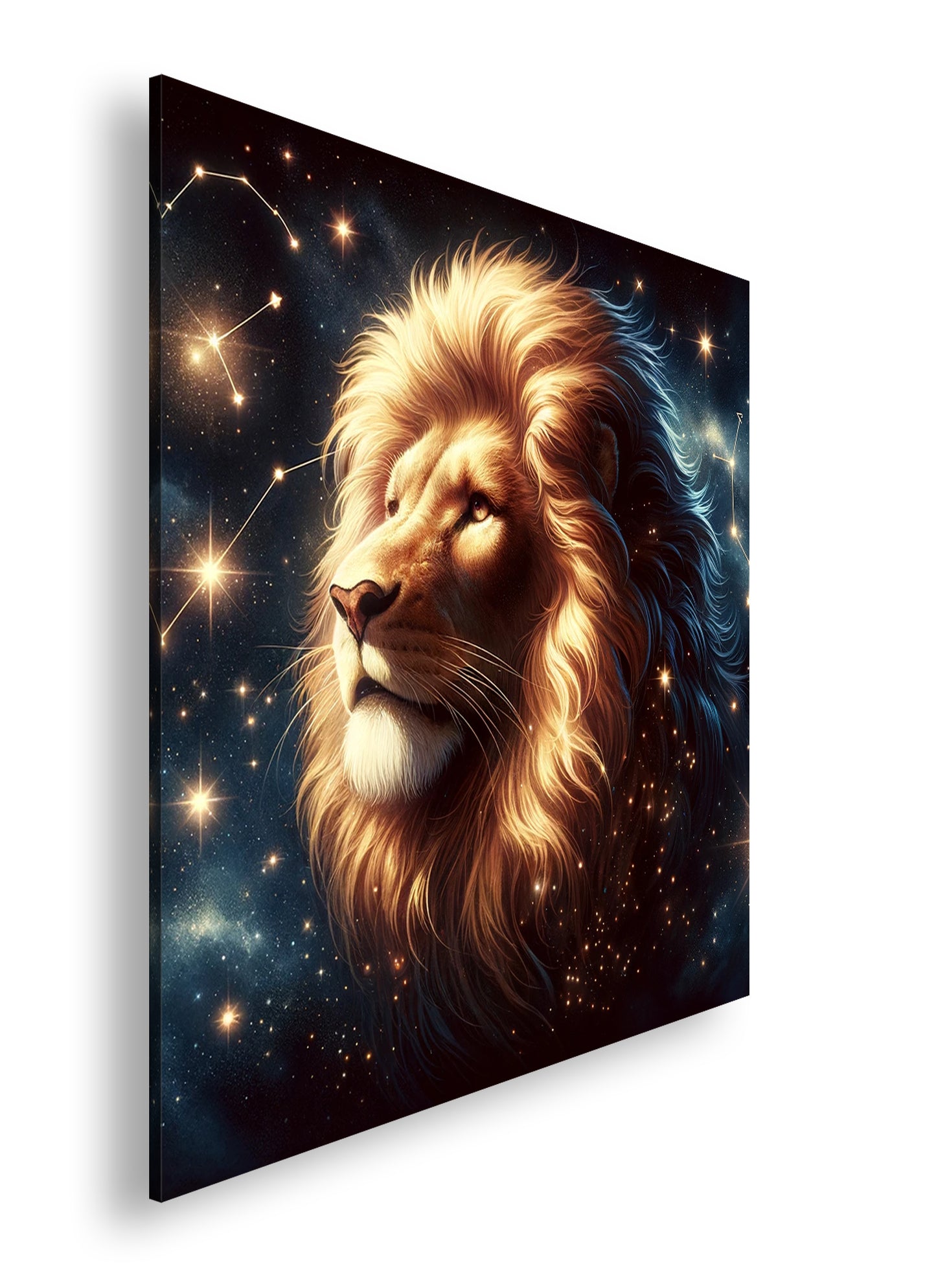 Hauptbild Farbig Quadratisch