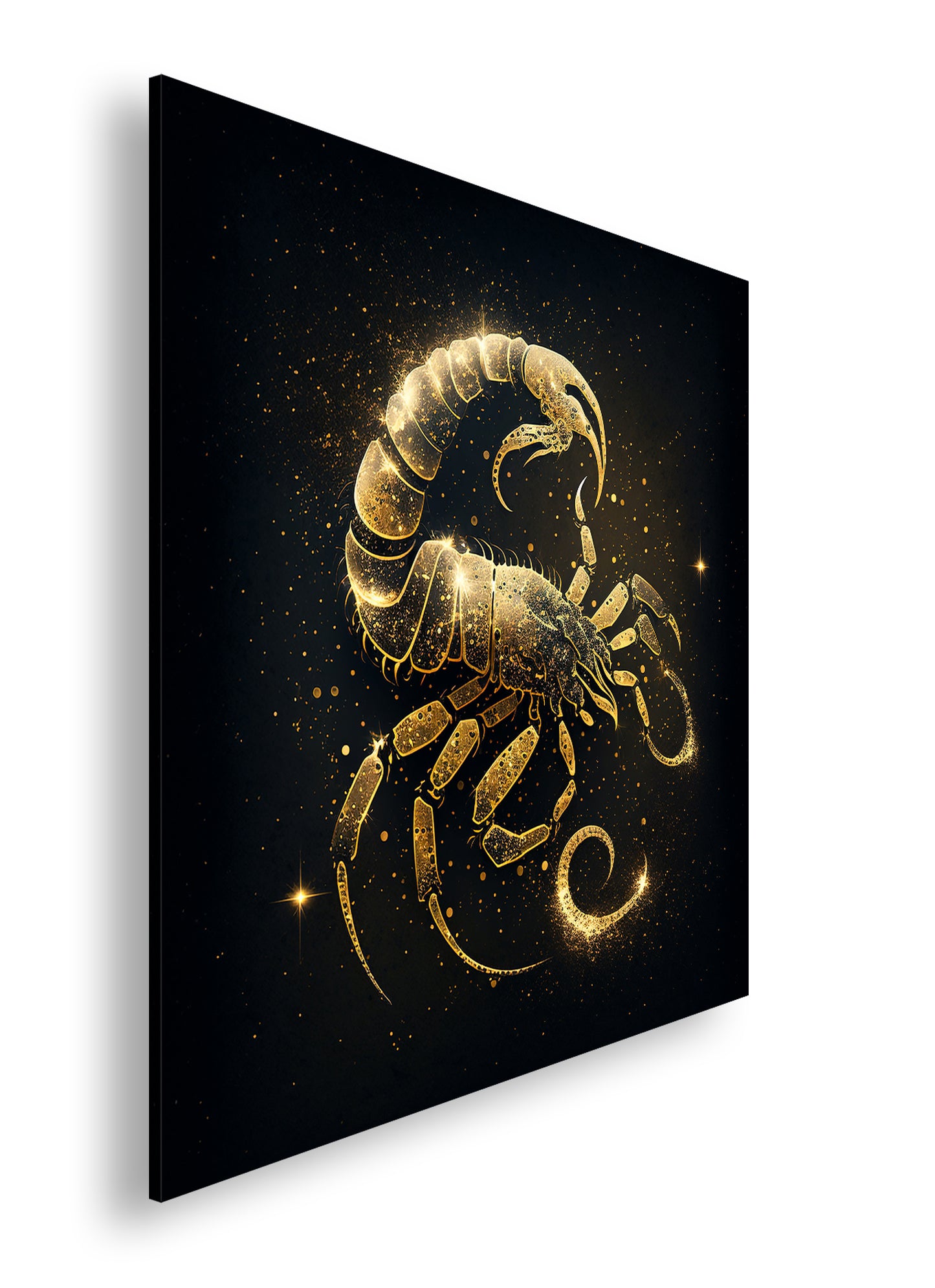 Hauptbild Farbig Quadratisch