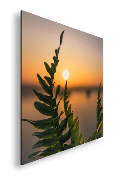 Hauptbild Farbig Quadratisch