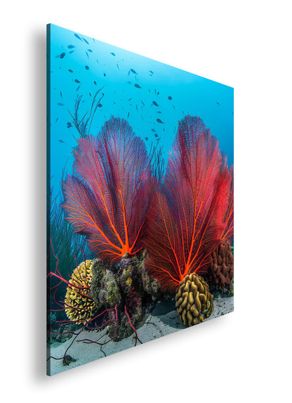 Hauptbild Farbig Quadratisch