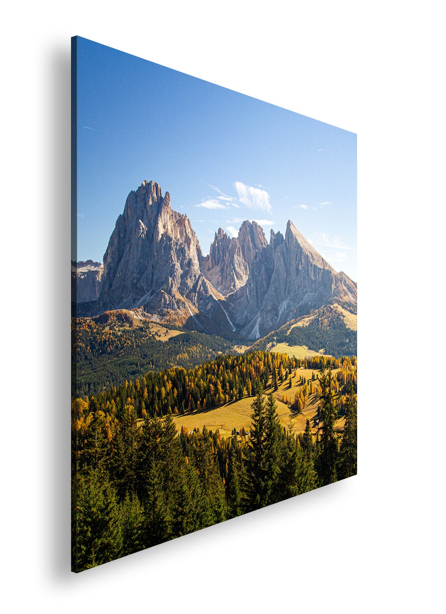 Hauptbild Farbig Quadratisch