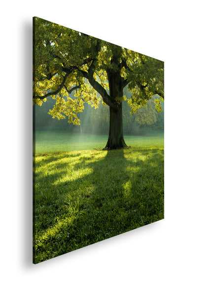 Hauptbild Farbig Quadratisch