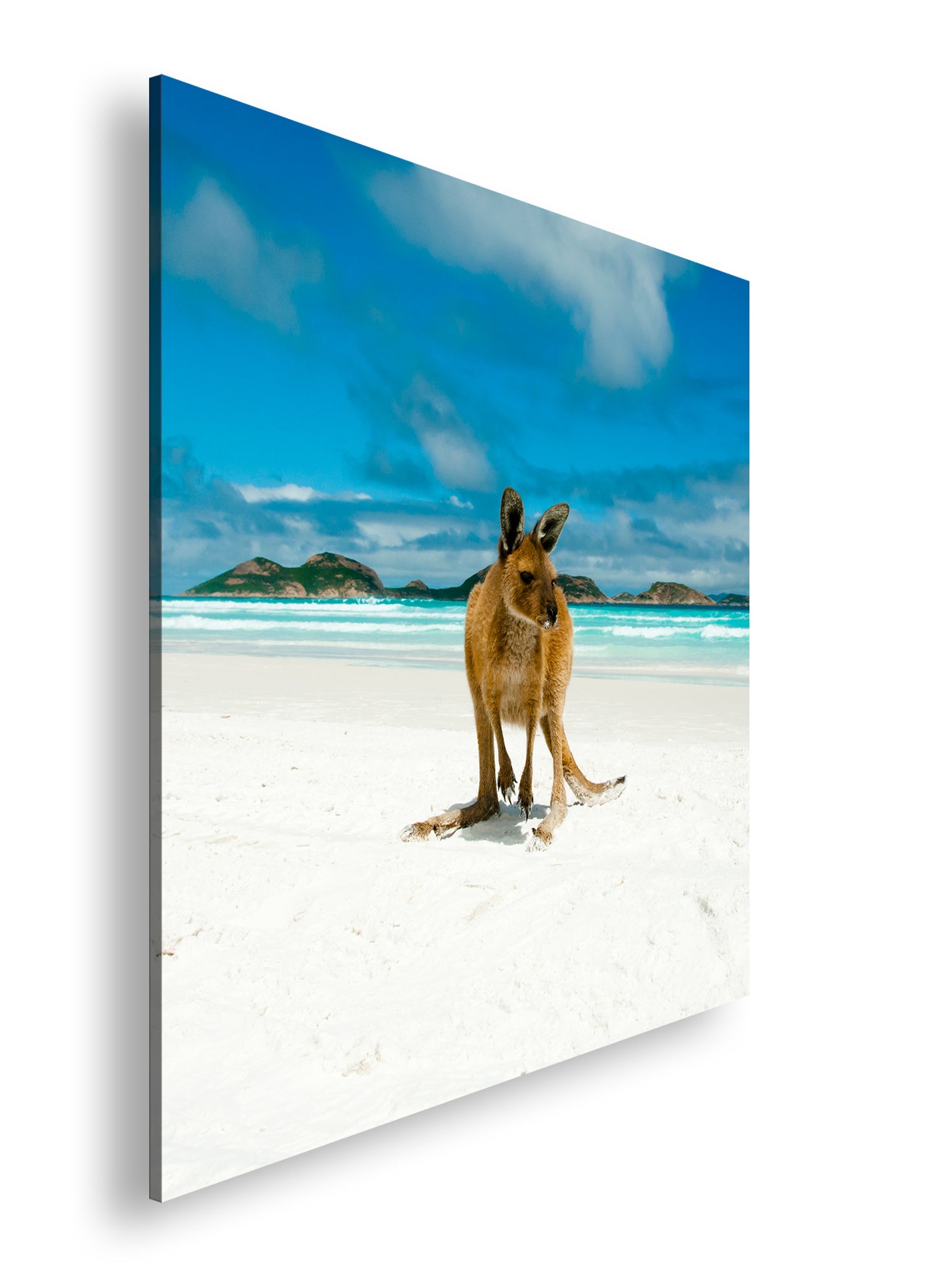 Hauptbild Farbig Quadratisch