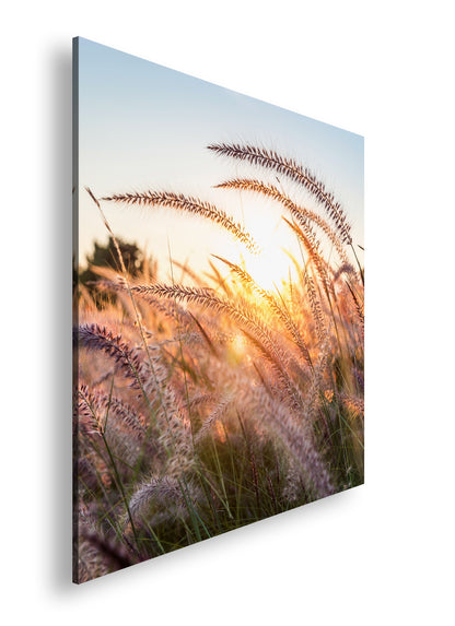 Hauptbild Farbig Quadratisch