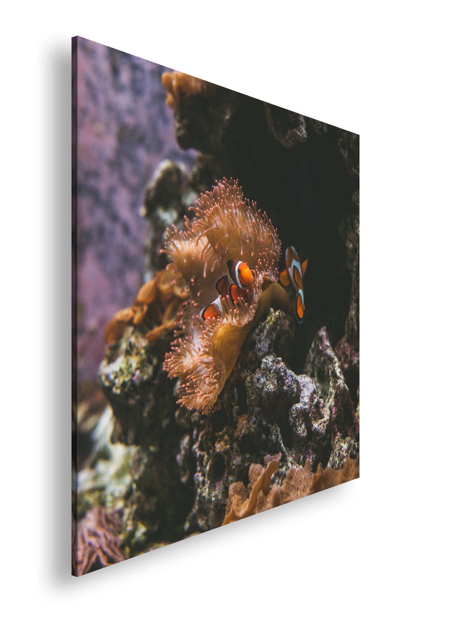 Hauptbild Farbig Quadratisch