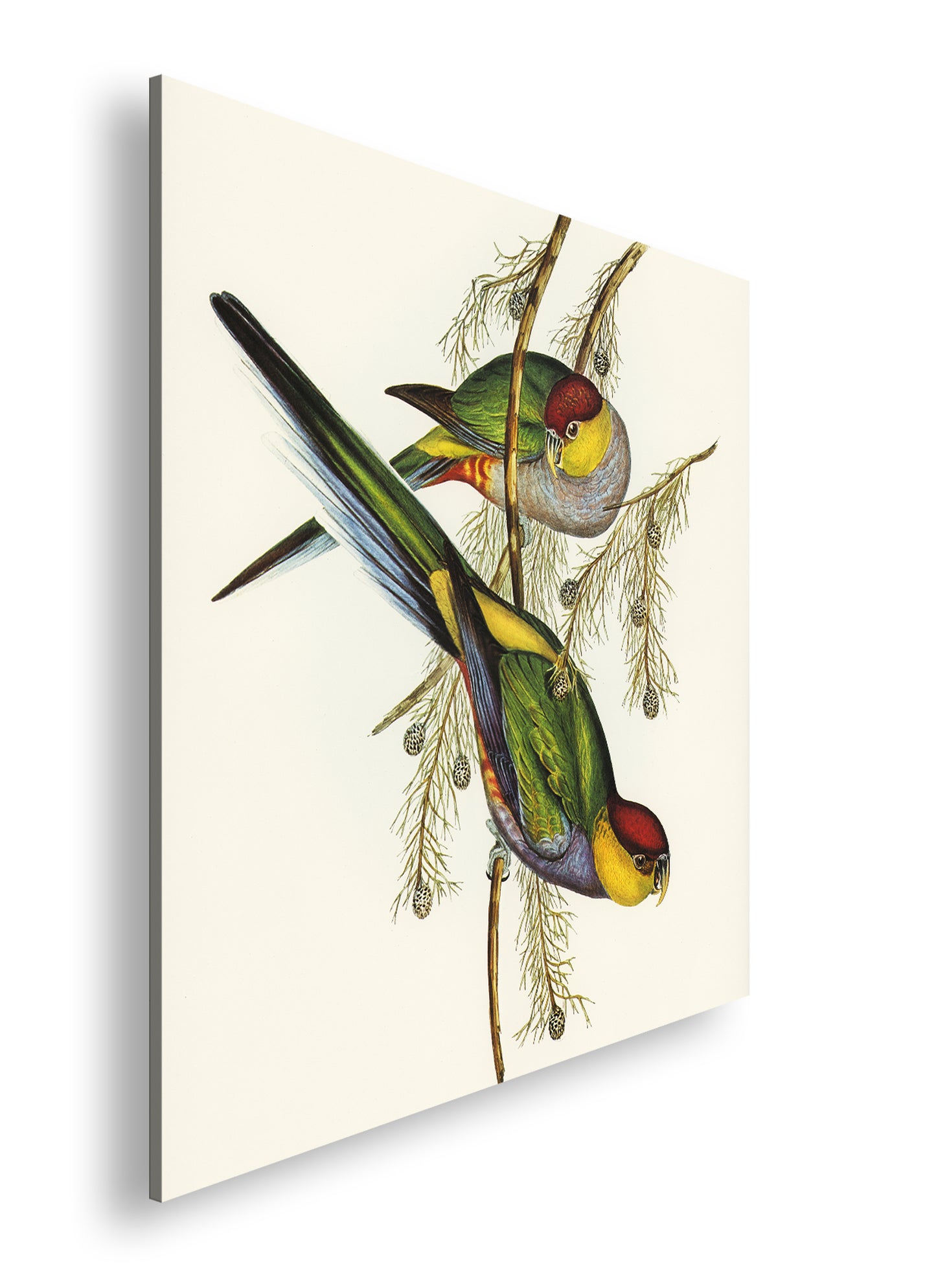 Hauptbild Farbig Quadratisch