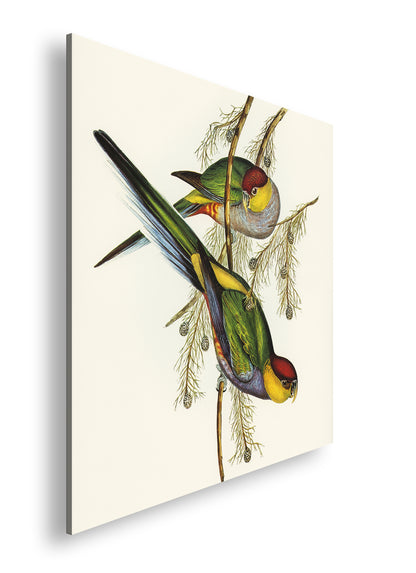 Hauptbild Farbig Quadratisch