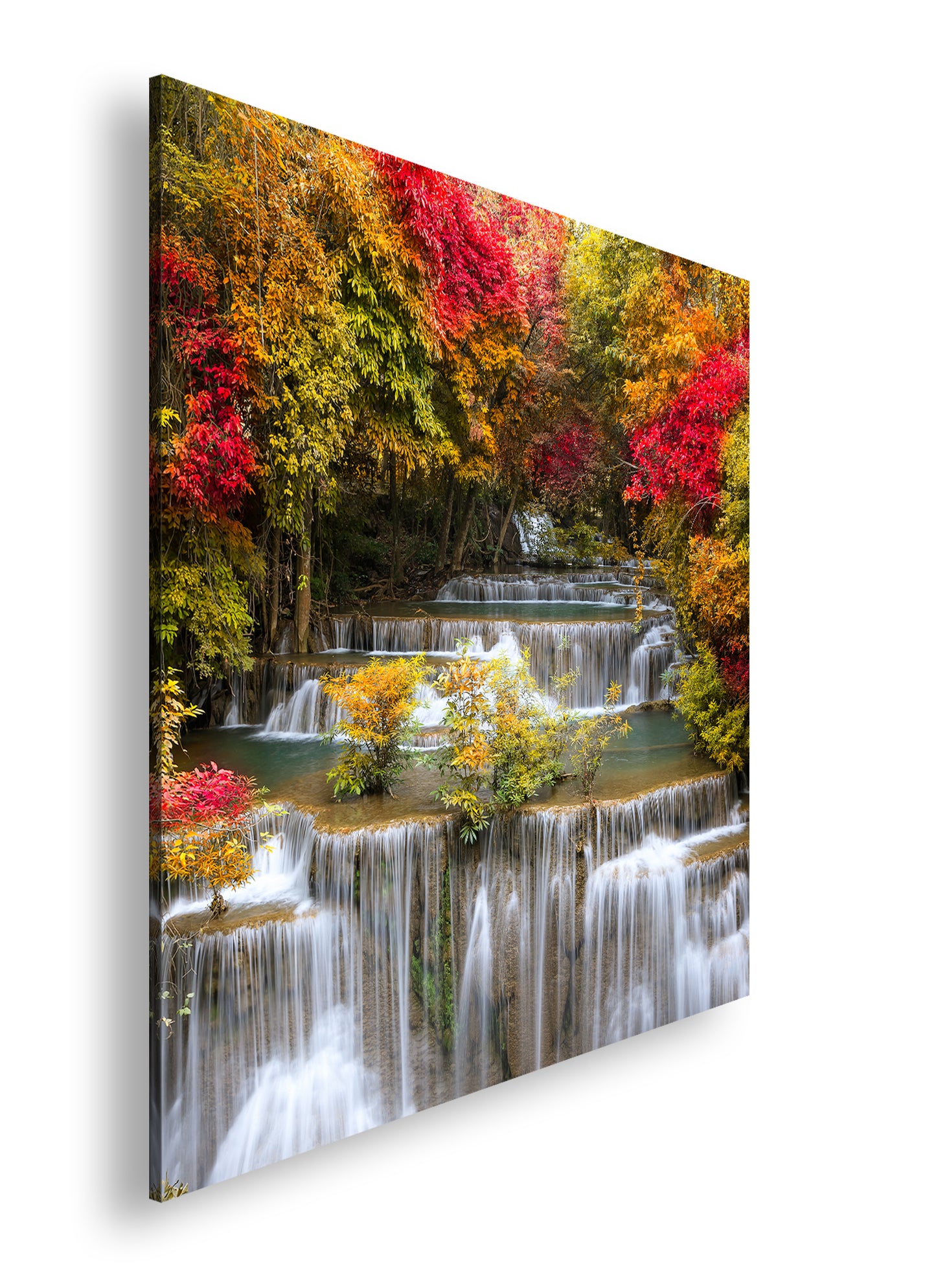 Hauptbild Farbig Quadratisch