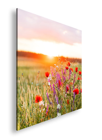 Hauptbild Farbig Quadratisch