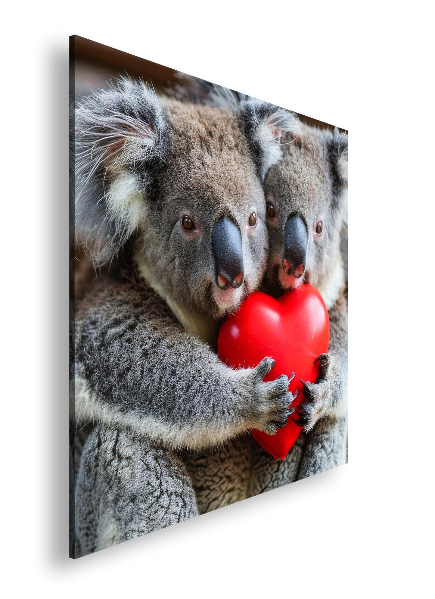 Hauptbild Farbig Quadratisch