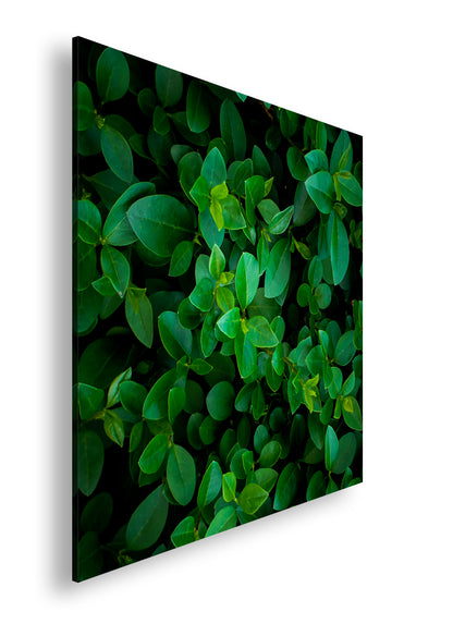 Hauptbild Farbig Quadratisch