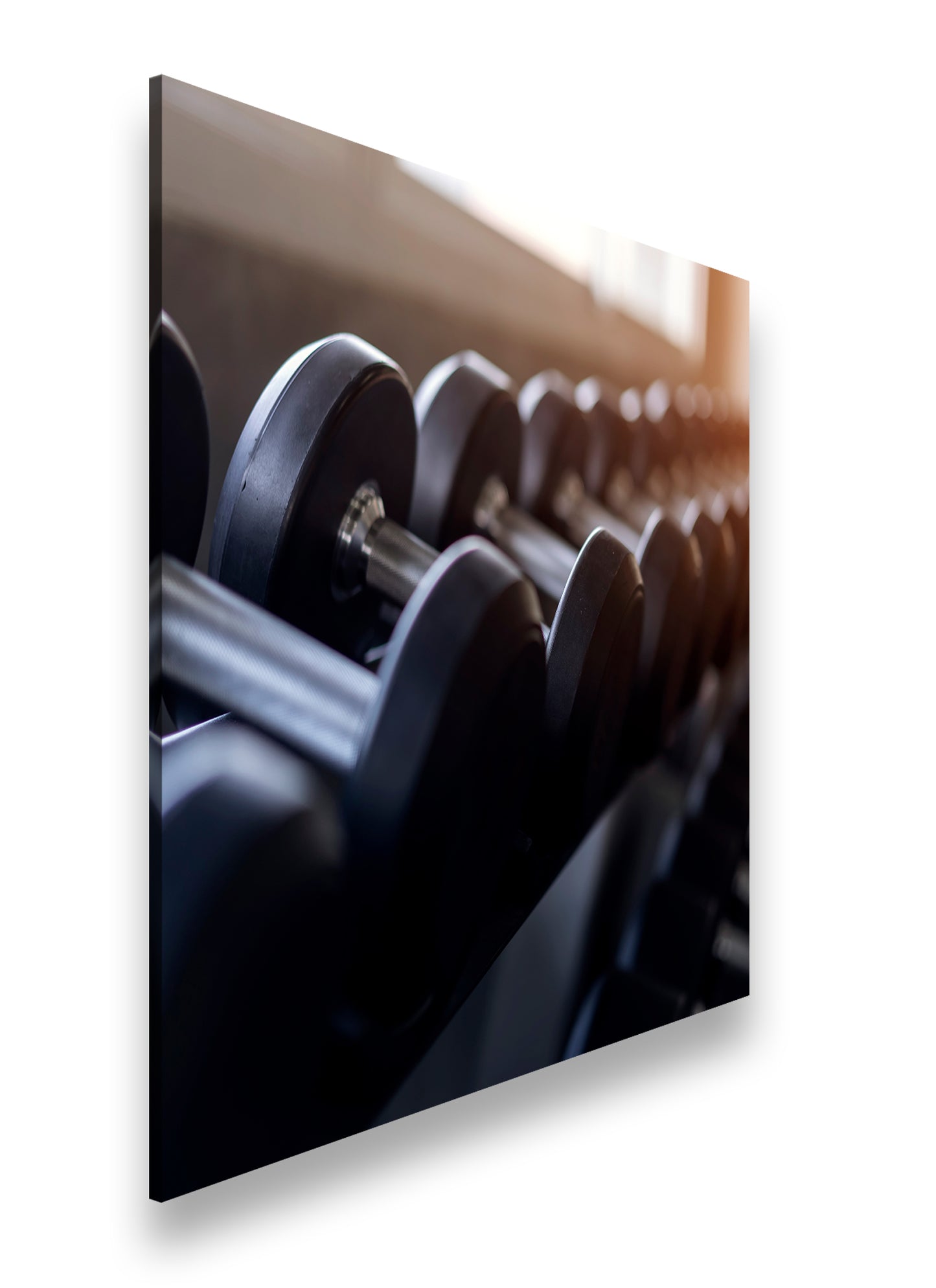 Hauptbild Farbig Quadratisch