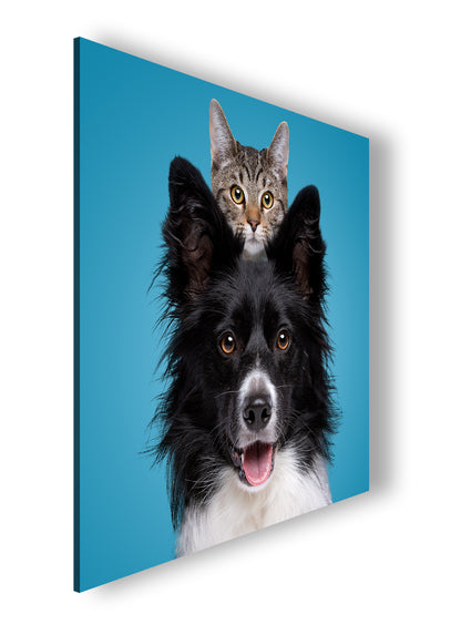 Hauptbild Farbig Quadratisch