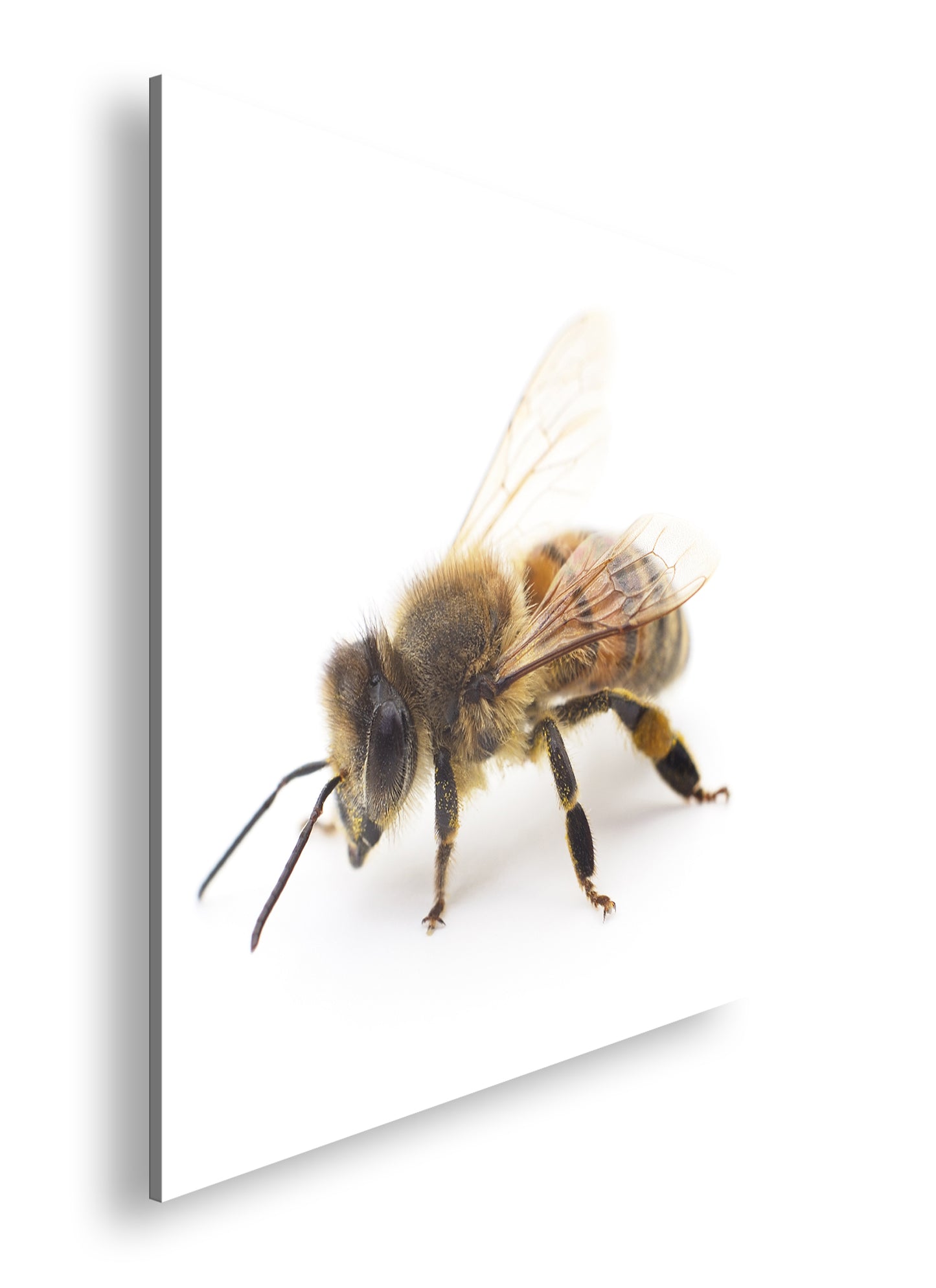 Hauptbild Farbig Quadratisch