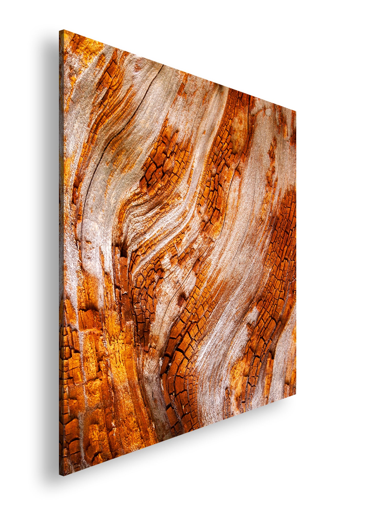 Hauptbild Farbig Quadratisch