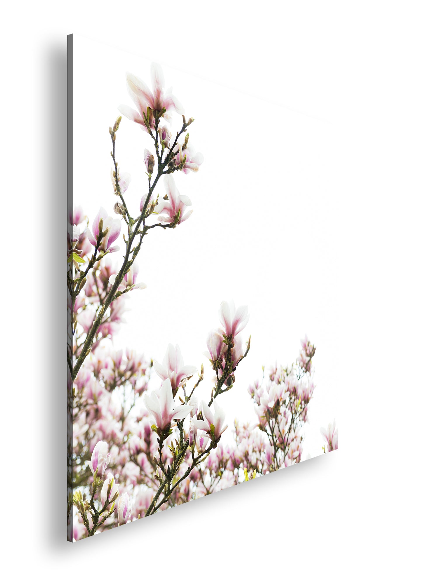 Hauptbild Farbig Quadratisch