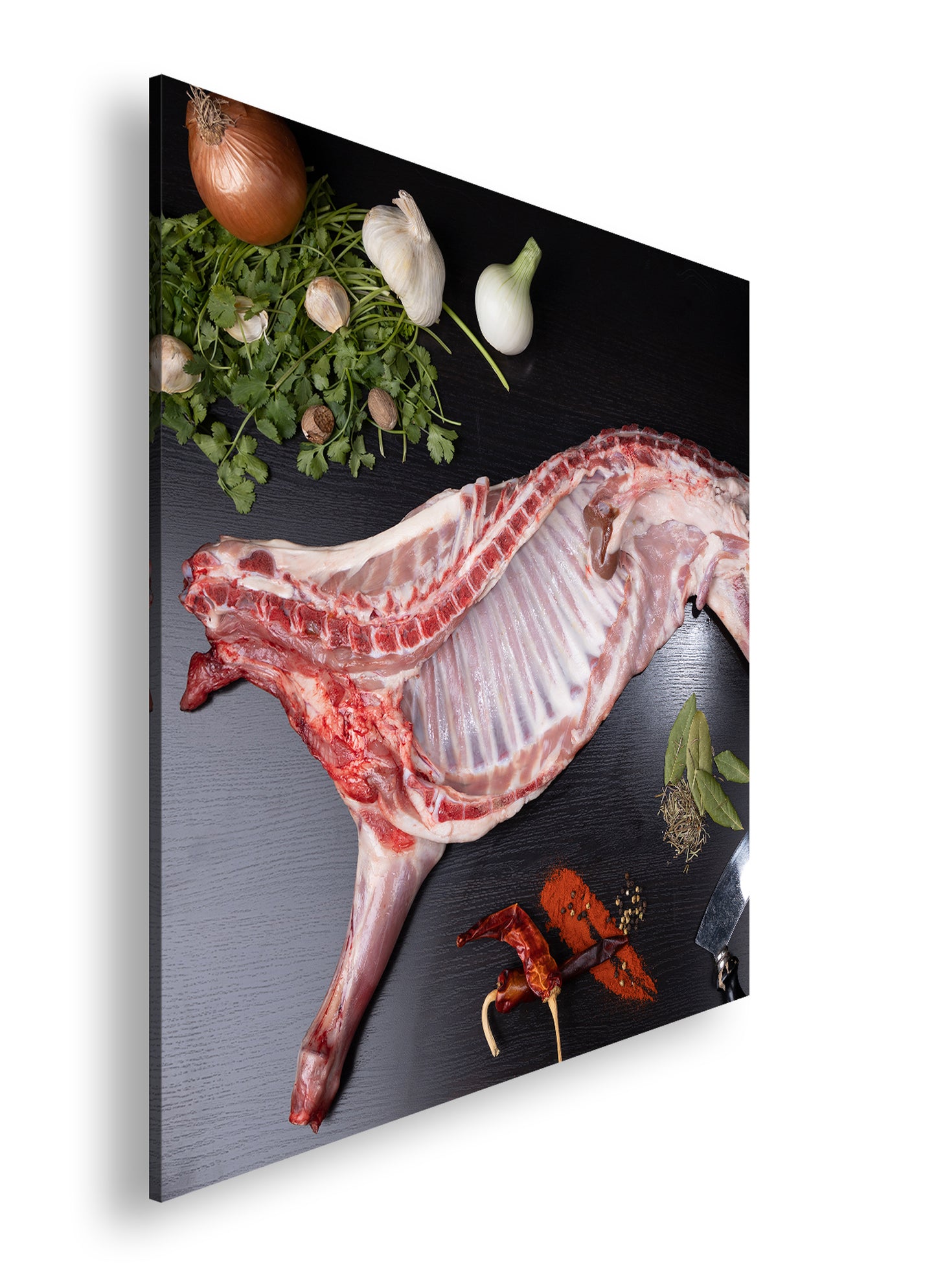 Hauptbild Farbig Quadratisch