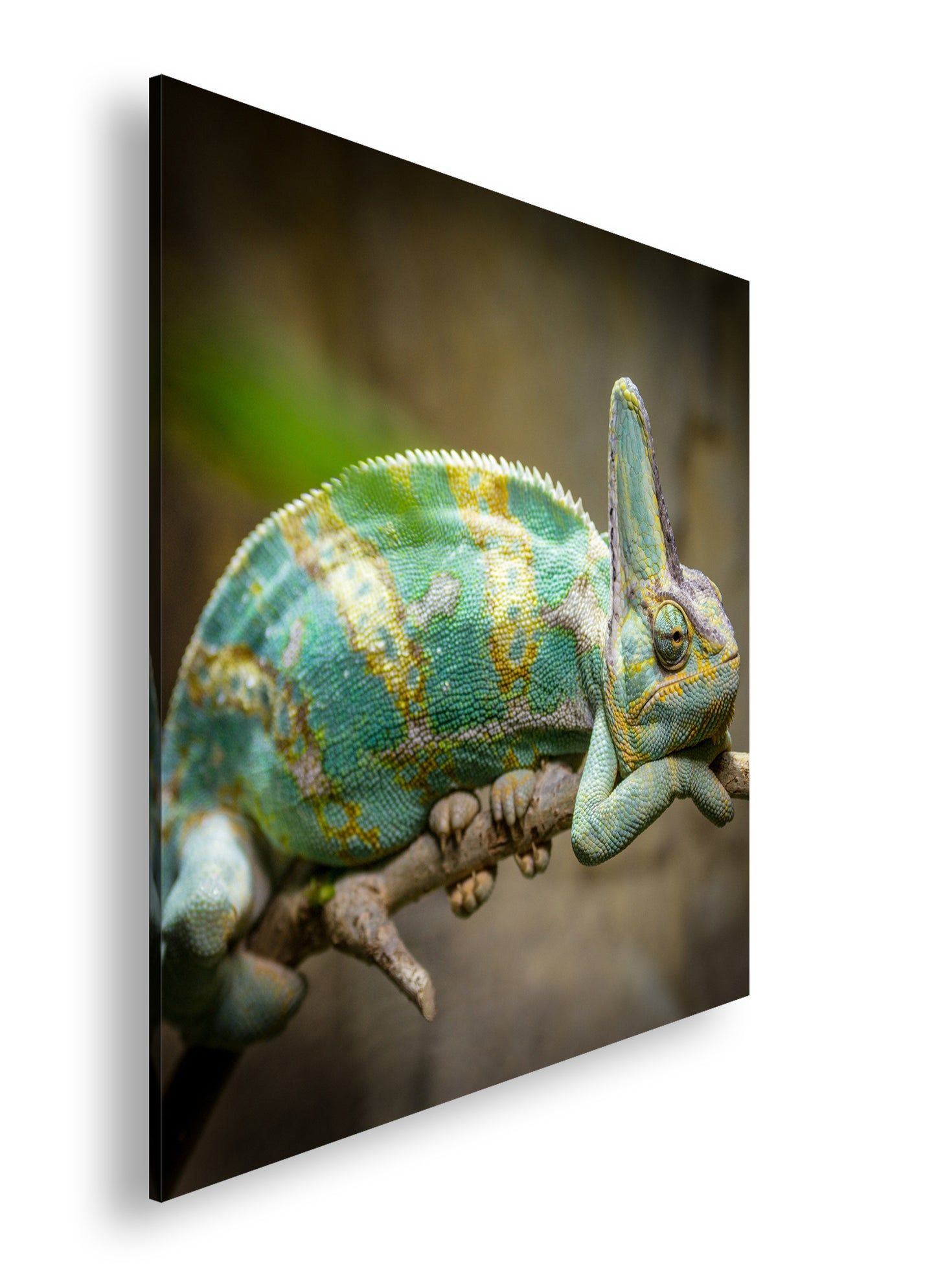 Hauptbild Farbig Quadratisch