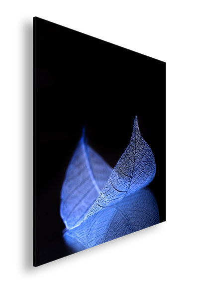 Hauptbild Farbig Quadratisch