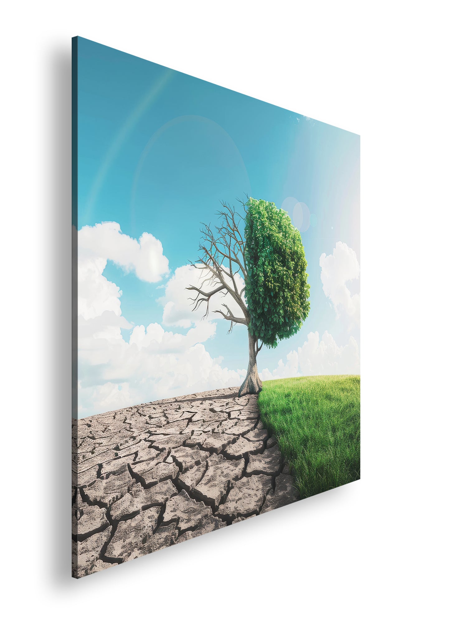 Hauptbild Farbig Quadratisch