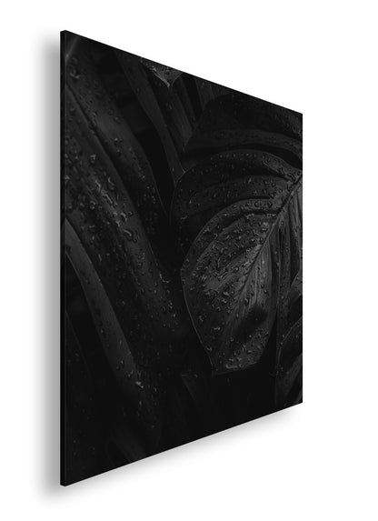 Hauptbild Farbig Quadratisch