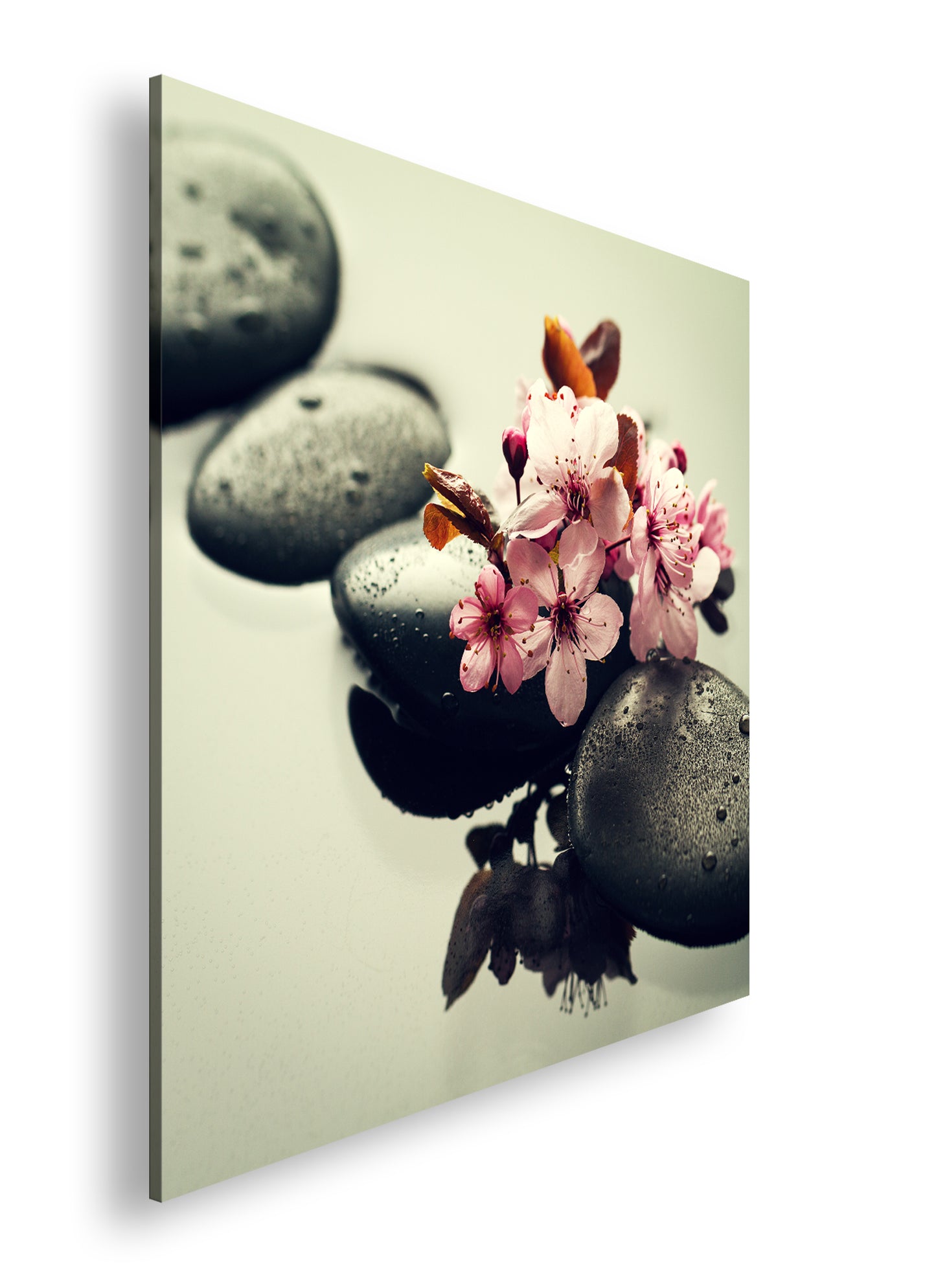 Hauptbild Farbig Quadratisch