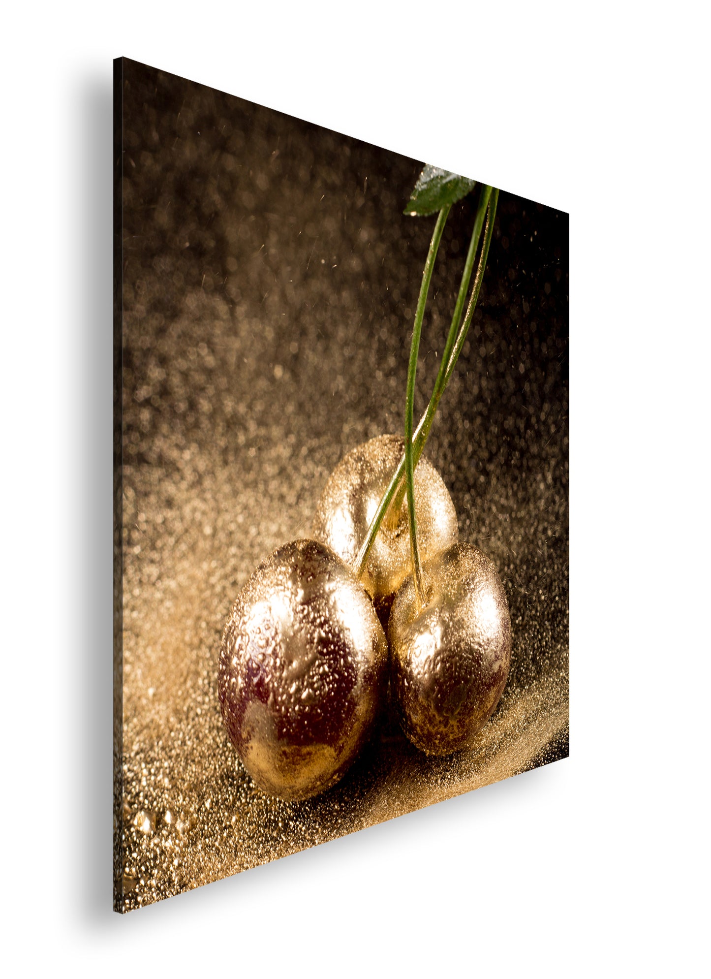 Hauptbild Farbig Quadratisch