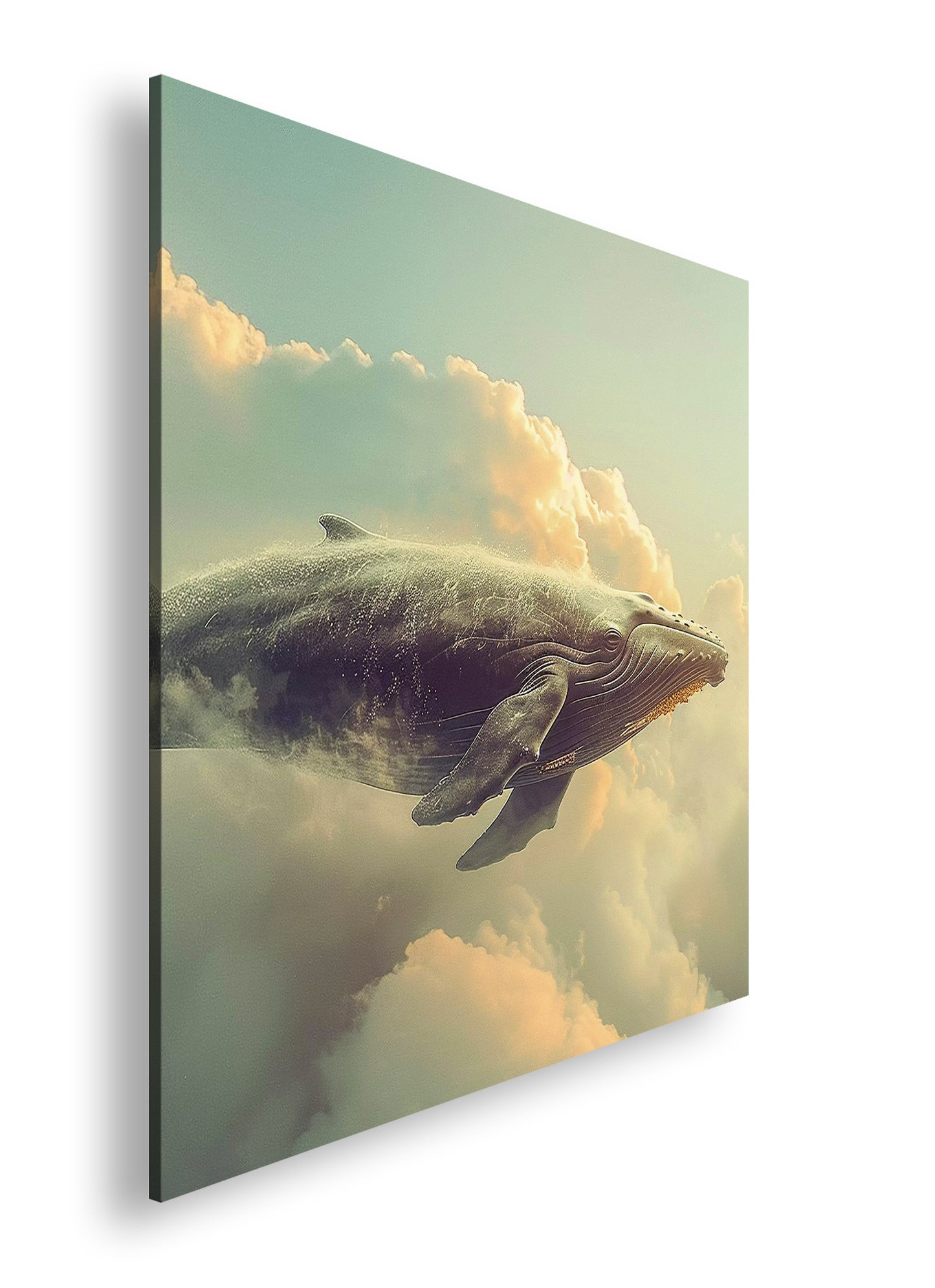 Hauptbild Farbig Quadratisch