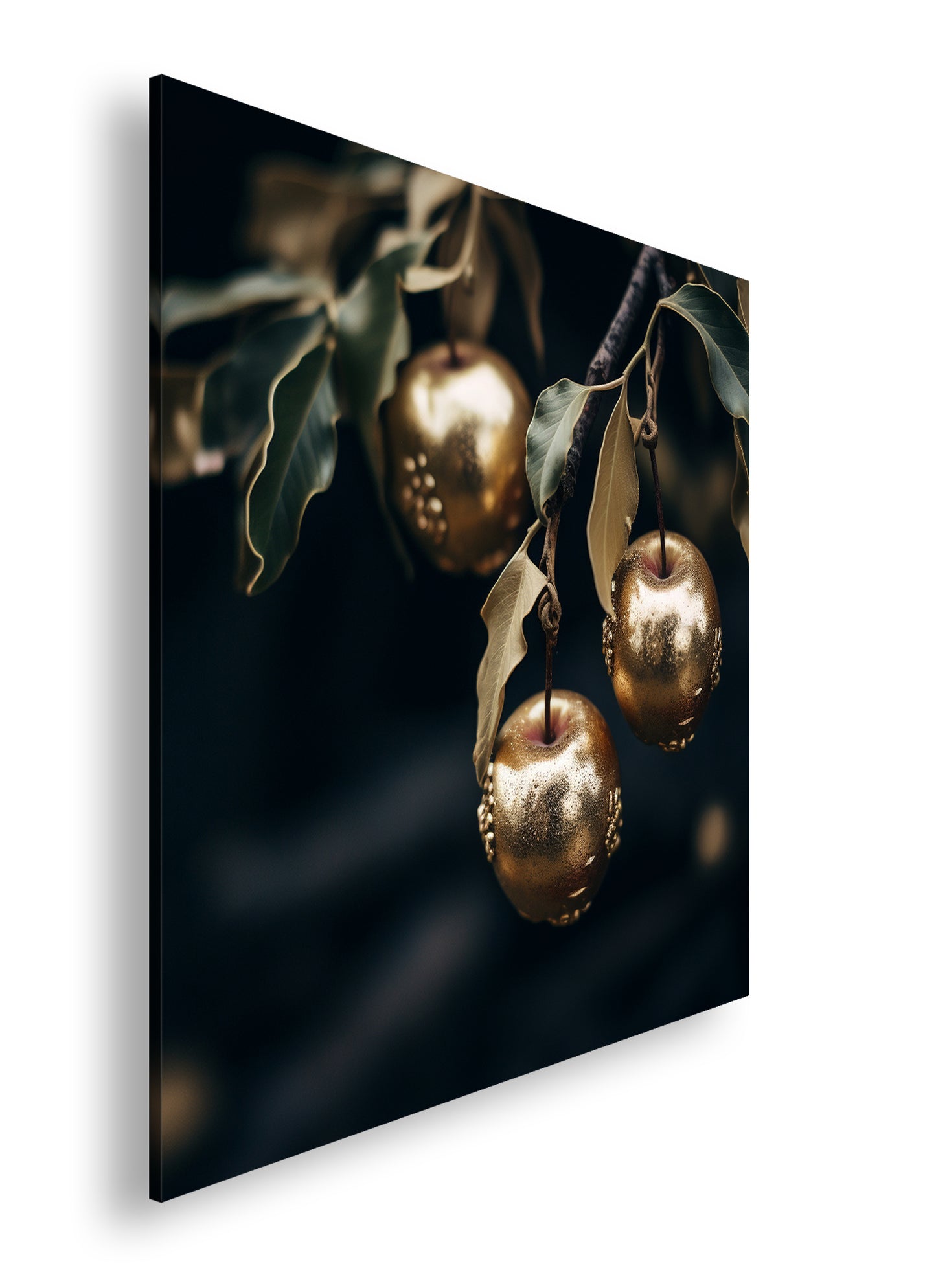 Hauptbild Farbig Quadratisch